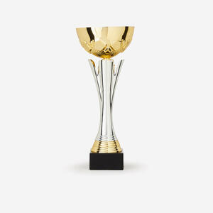 Copa c535 oro/plata 32 cm