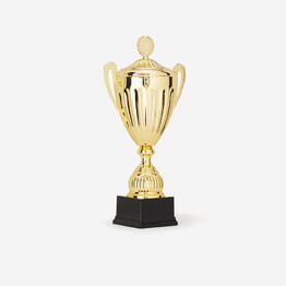 COUPE OR 40 CM + COUVERCLE