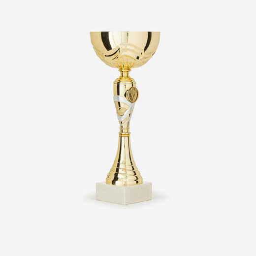 
      C519 Trophy 29 cm - Gold
  