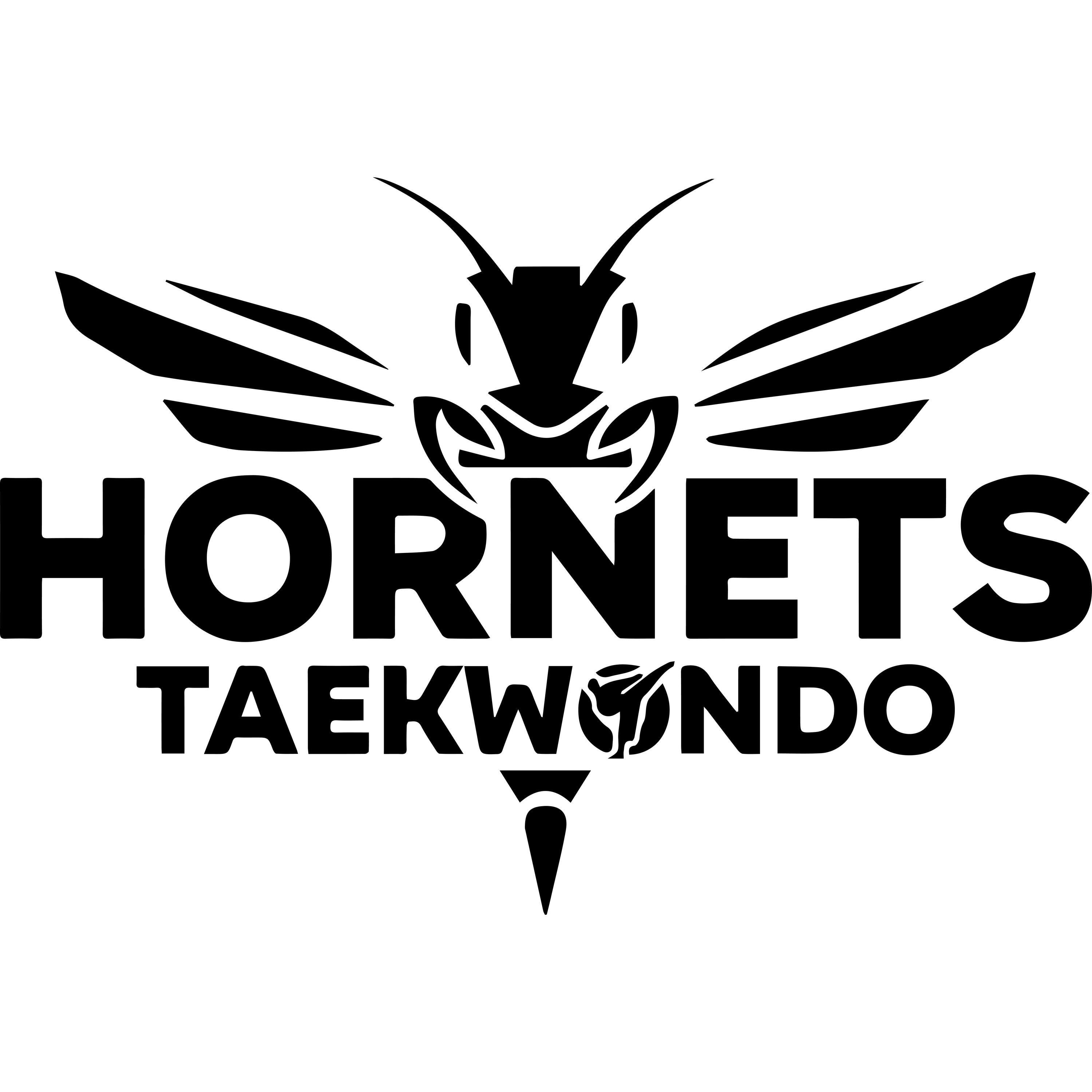 Hornets boutique 1/1