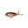 Leurre de surface pêche des carnassier WHOPPER PLOPPER 6cm Munky Butt