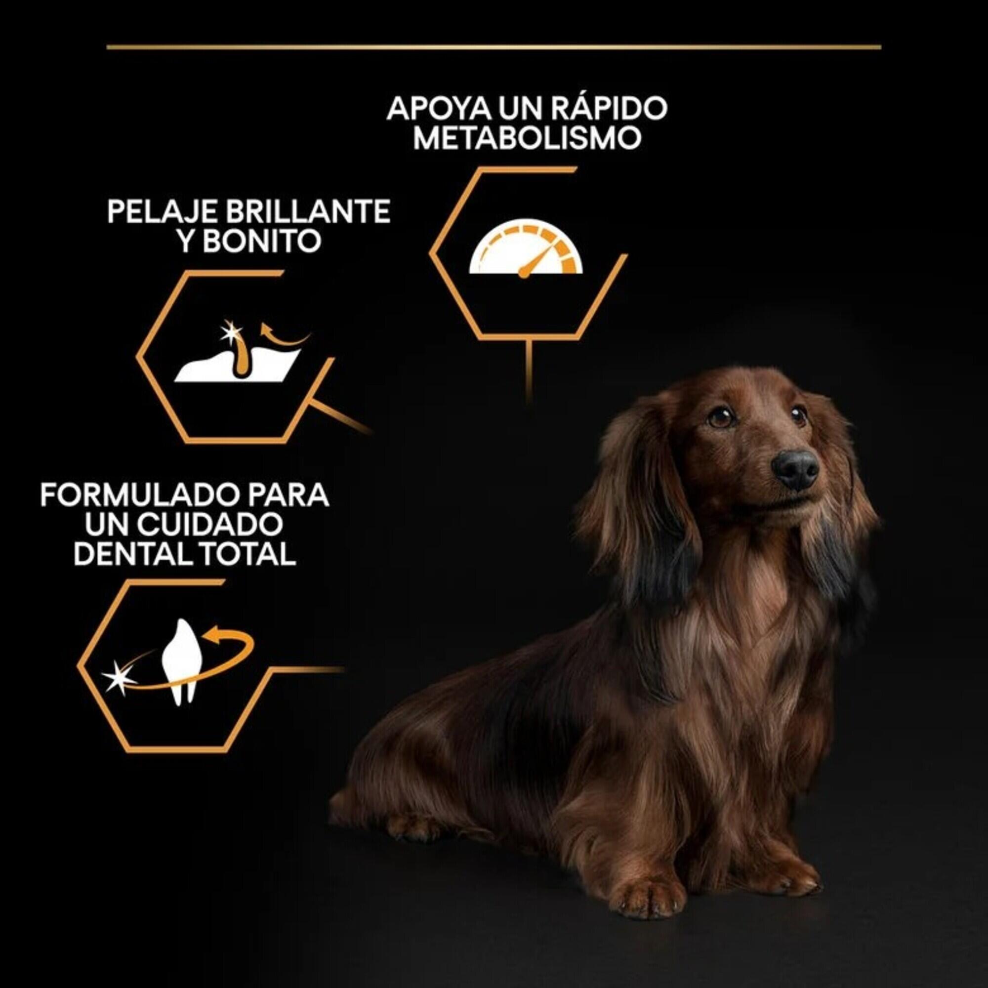 Pienso Perro Purina Pro Plan Pollo 3 Kg Adulto Small y Mini 2/3