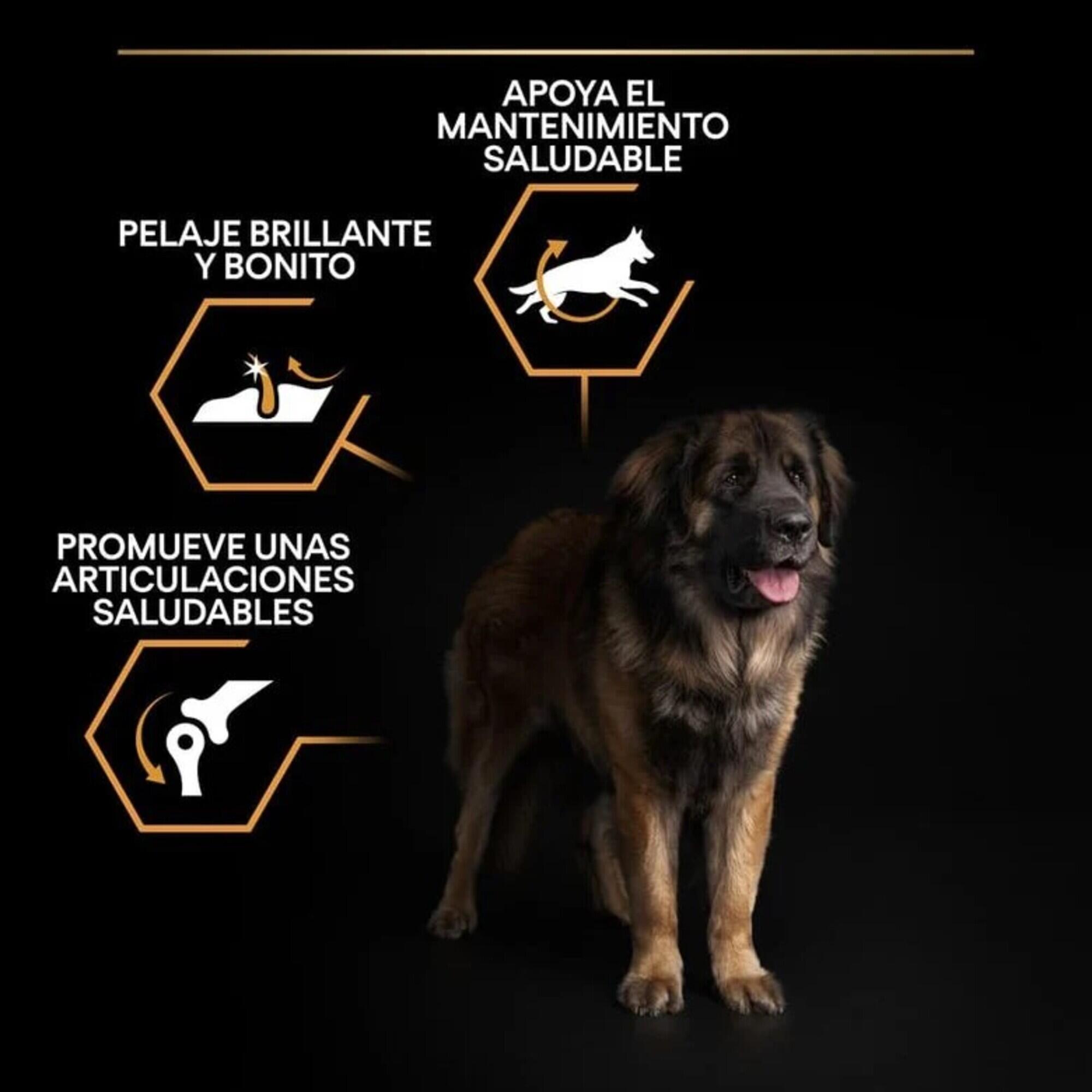Pienso Perro Purina Pro Plan Large Robust Adulto Razas Grandes Pollo 14 kg. 2/3