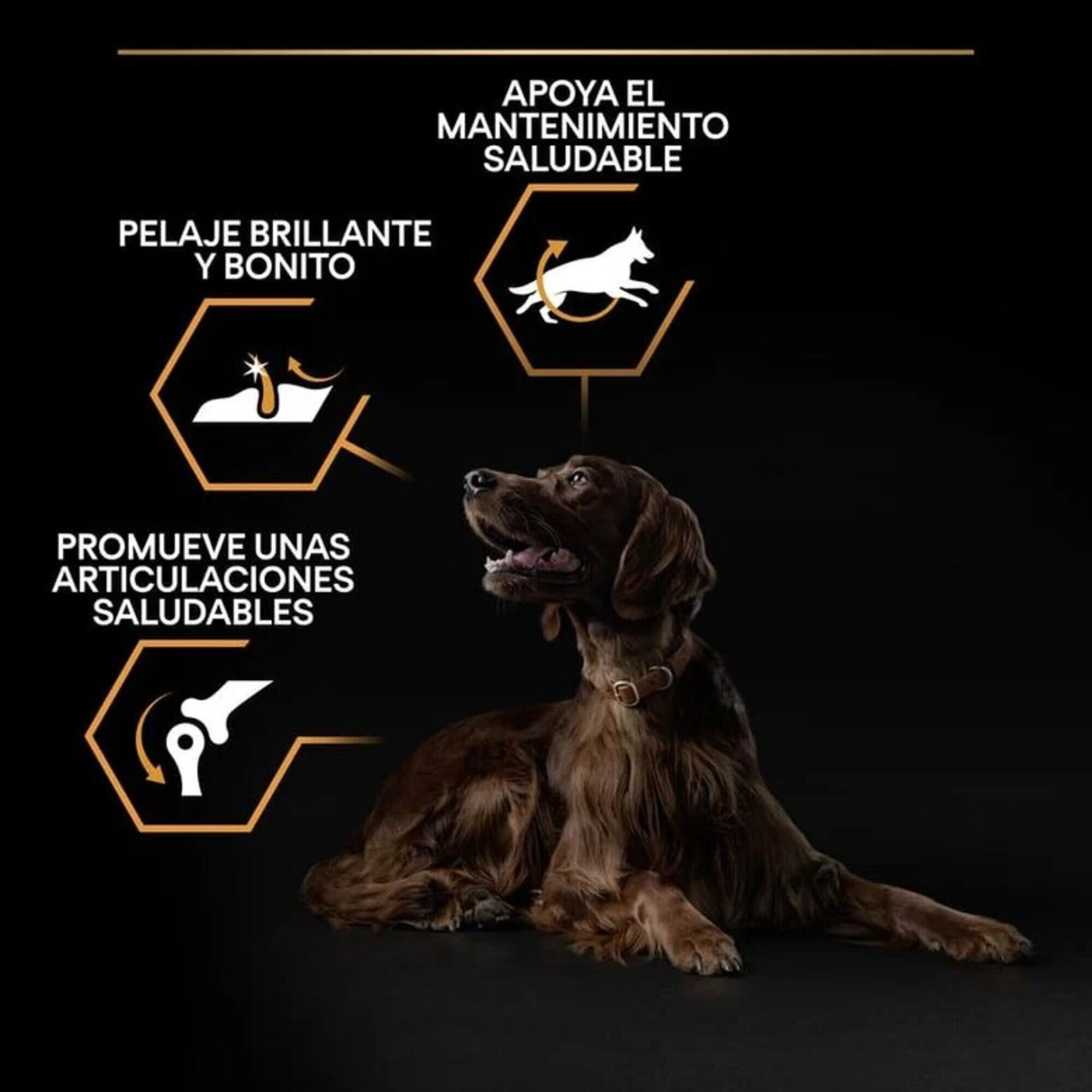 Pienso Perro Purina Pro Plan Large Athletic Adulto Pollo Razas Grandes 14 kg. 2/3