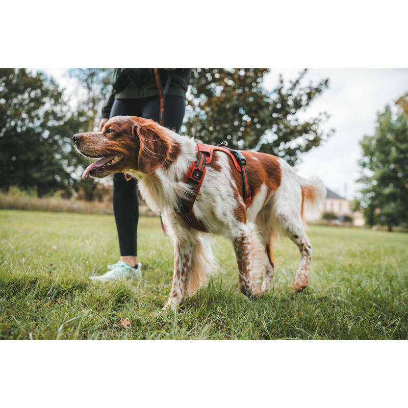 Hundegeschirr 500 Terracotta