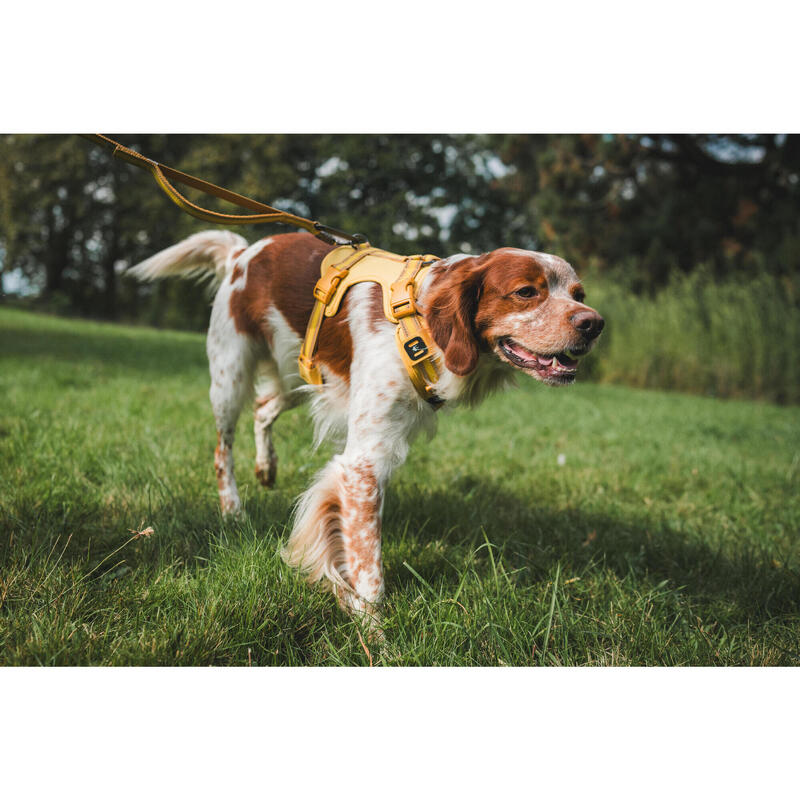 Hundegeschirr 500 Gelb