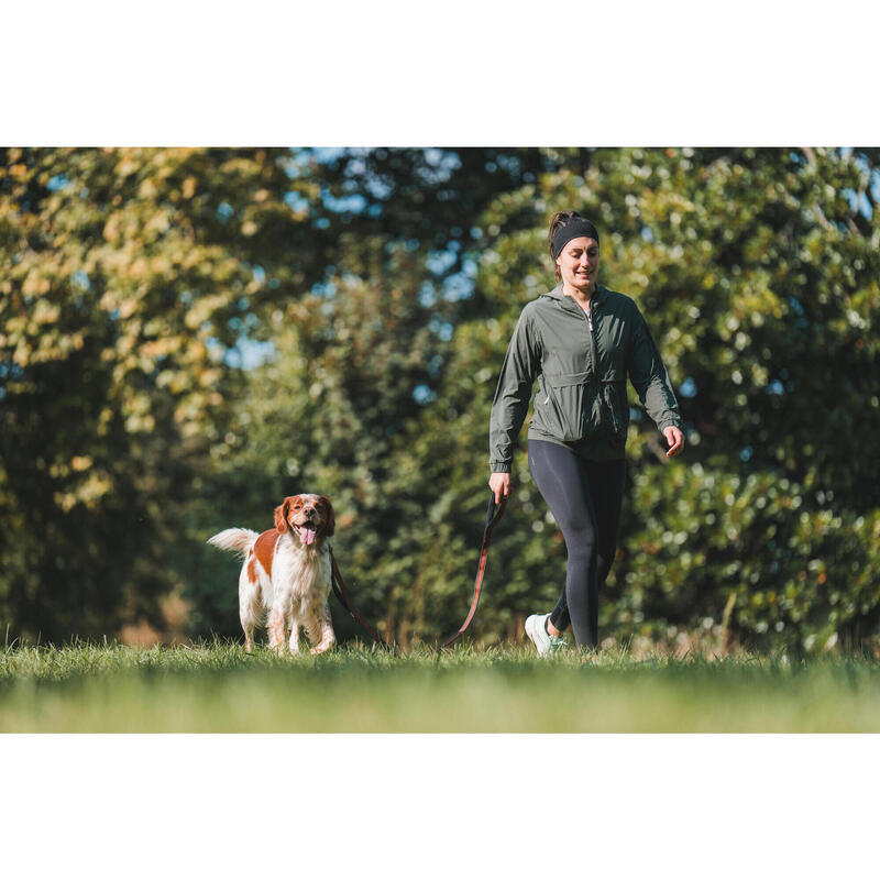 Laisse pour chien 500 terracotta