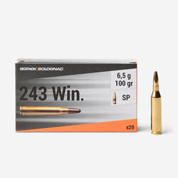 Balle 243 WINCHESTER 6,5G/100GRS X20