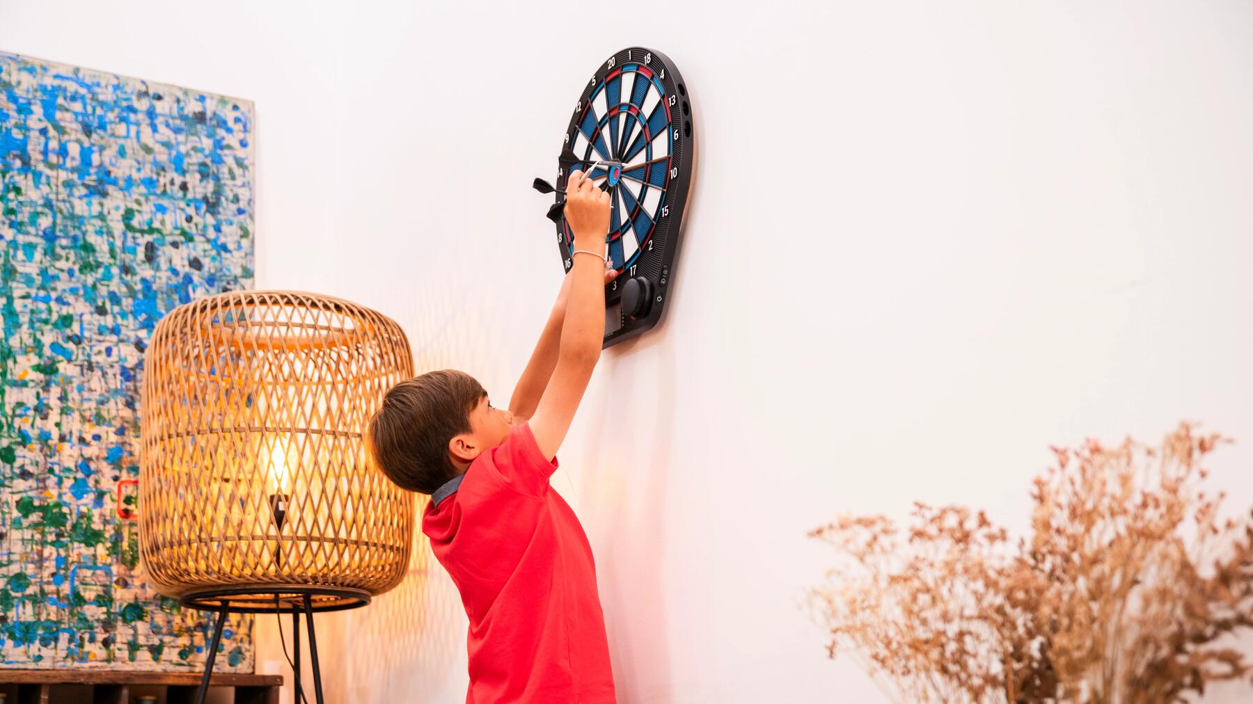 CUM SĂ ALEGI SĂGEȚILE PENTRU DARTS