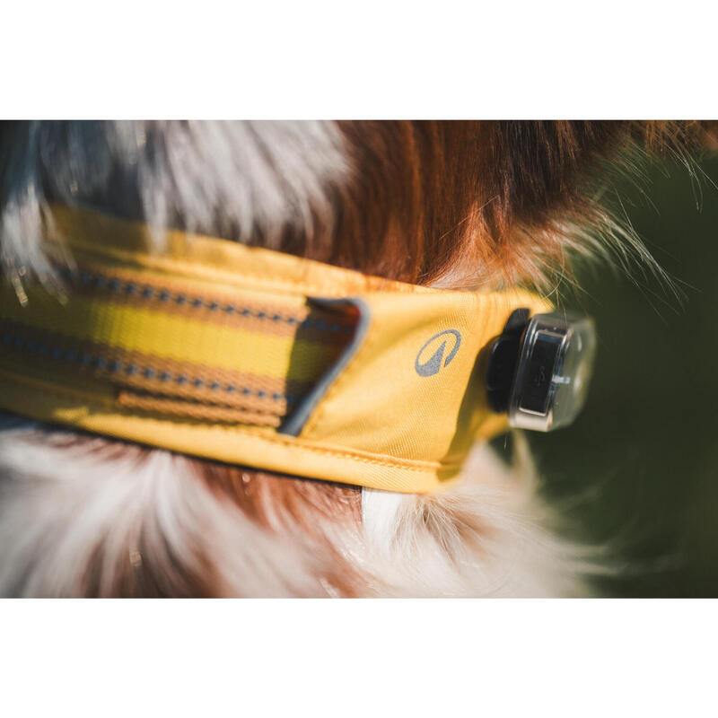 Collier pour chien 500 jaune