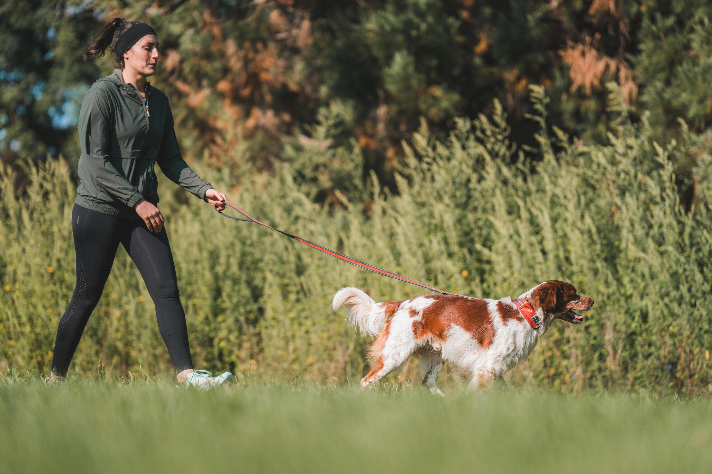 Laisse pour chien, Outdoor 500 4/7