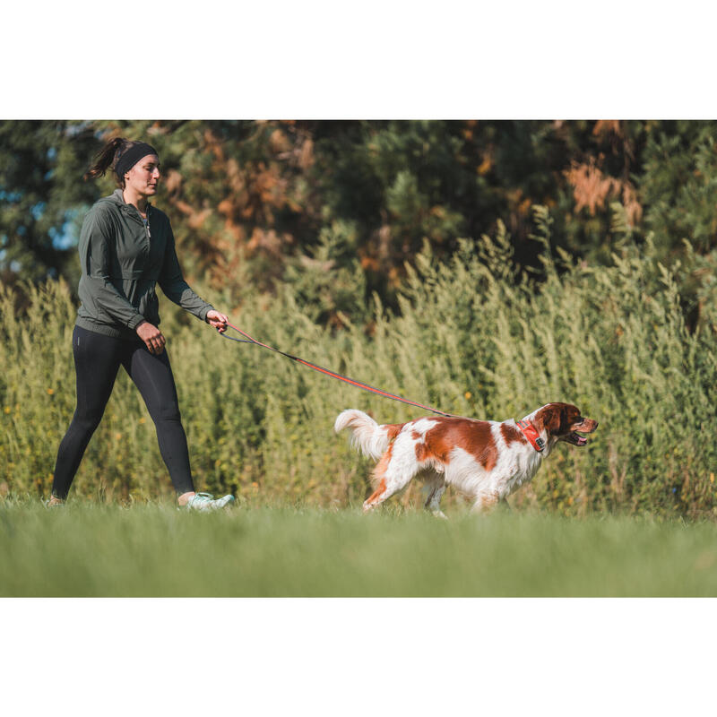 Laisse pour chien 500 terracotta