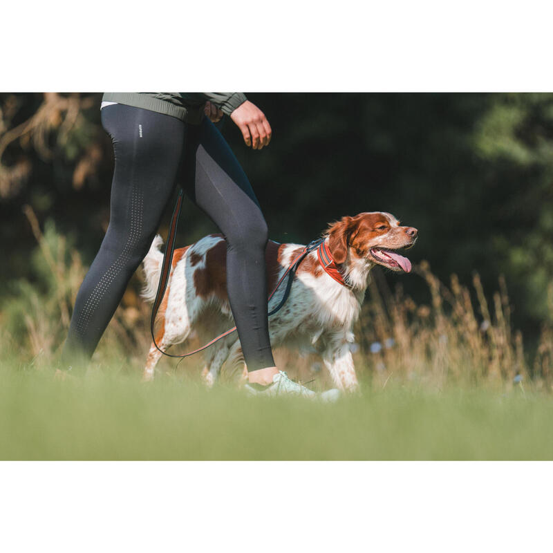 Laisse pour chien 500 terracotta