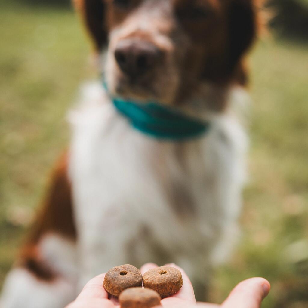 TREATS FOR ADULT DOGS 500 G