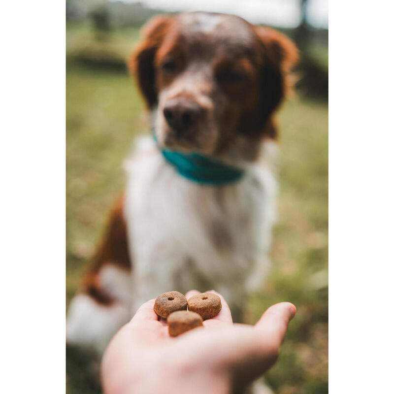 FRIANDISES POUR CHIENS ADULTES 500 GR.