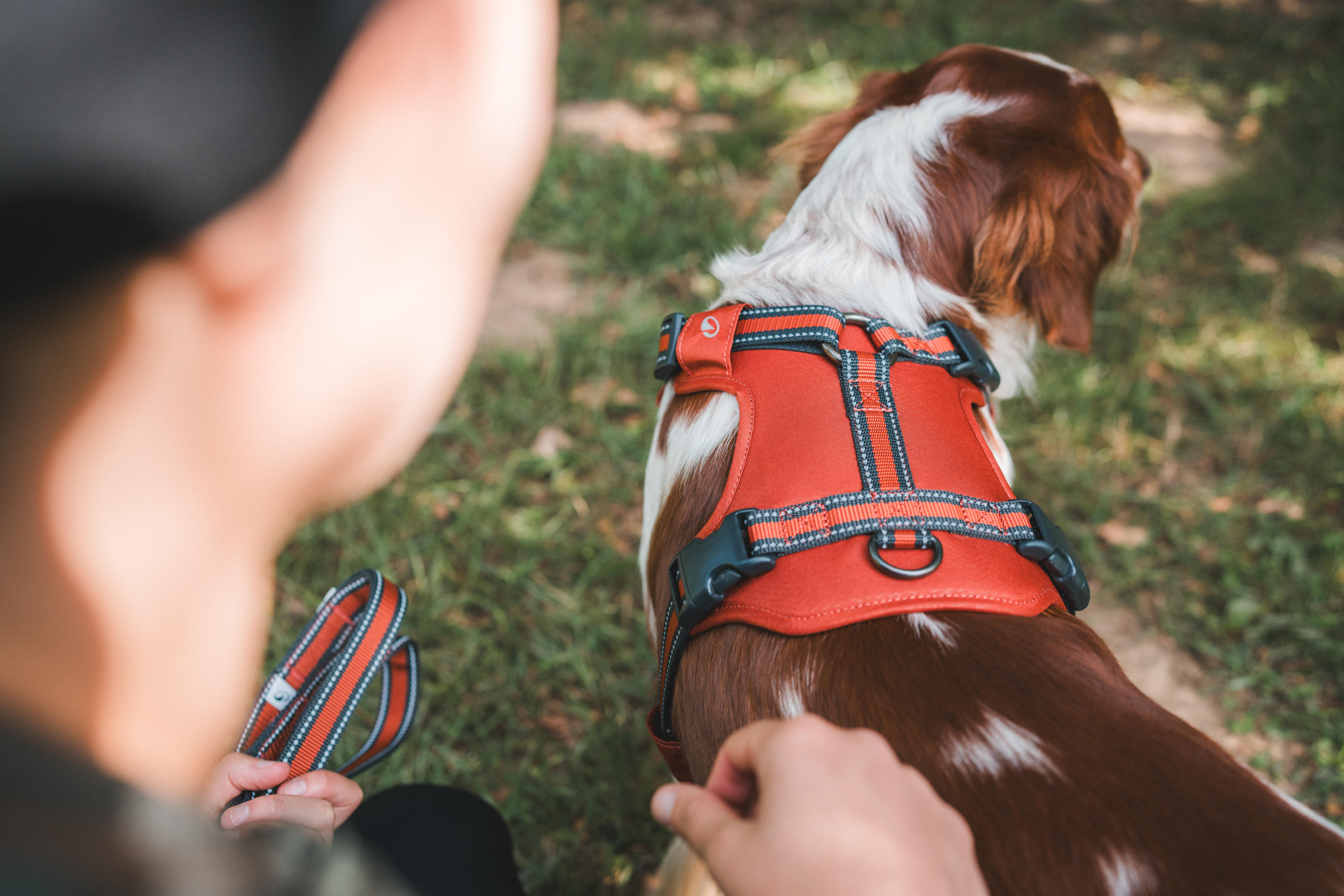 Harnais pour chien, 500 - CAPERLAN