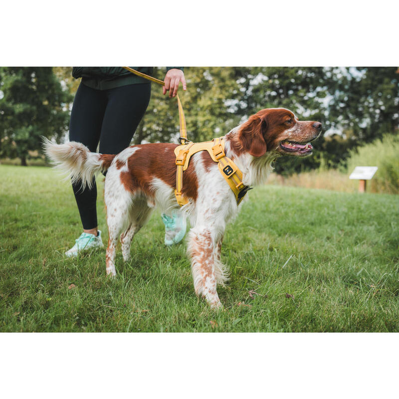 Hundegeschirr 500 Gelb