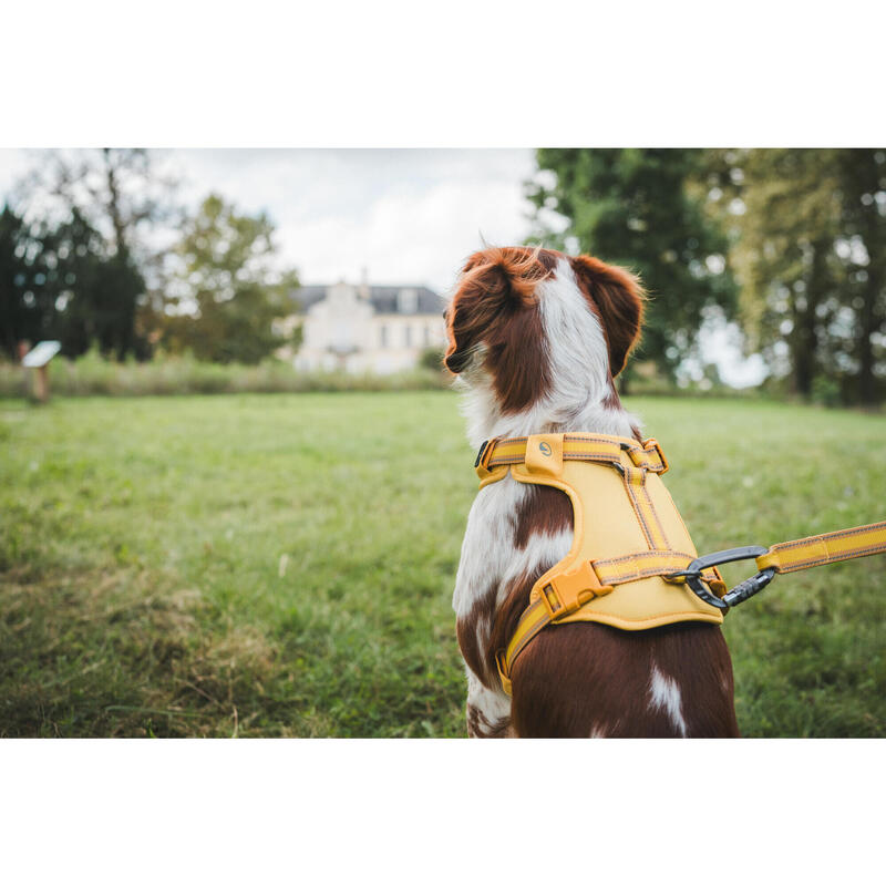 Hundegeschirr 500 Gelb