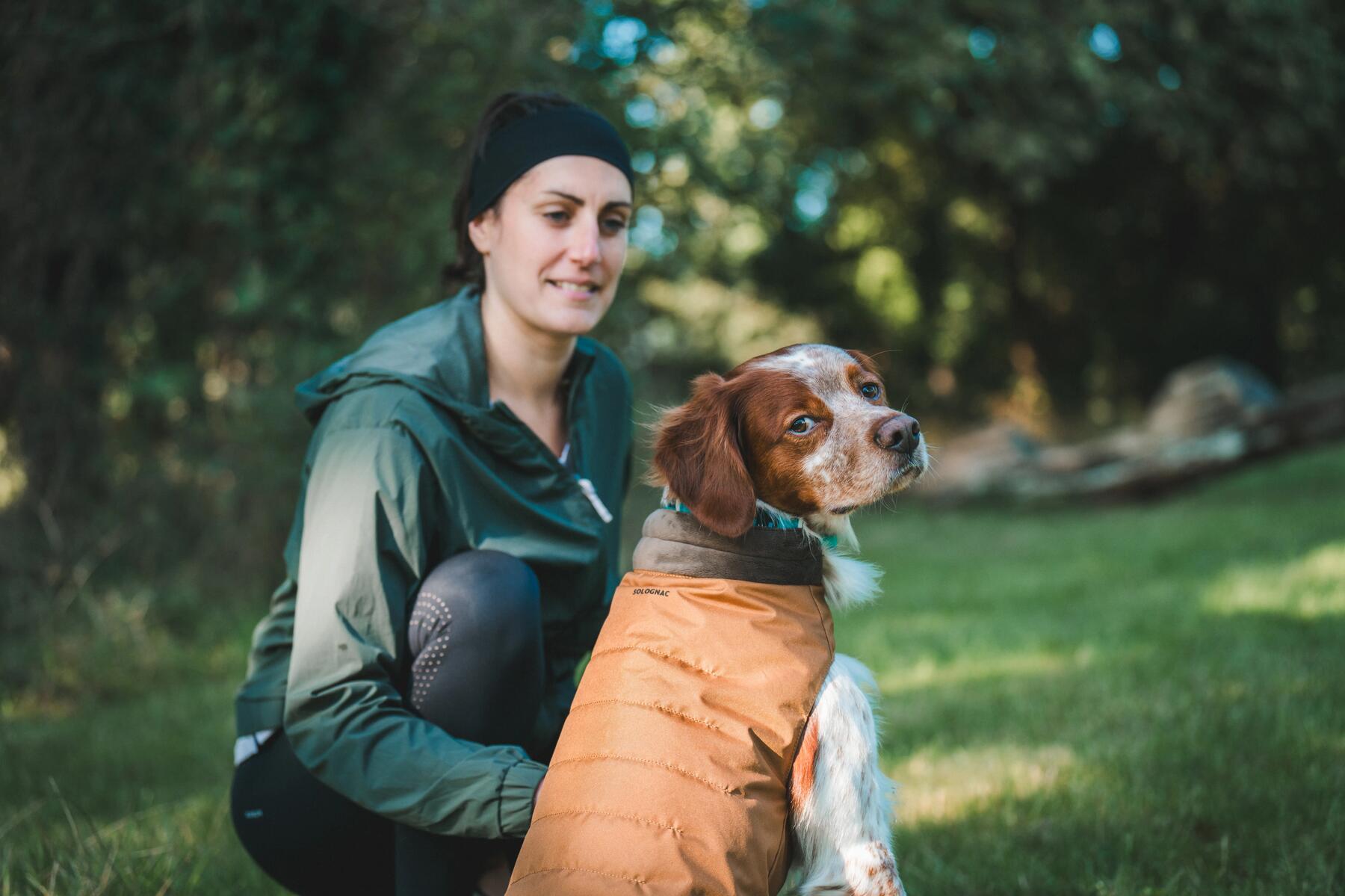 Diese Sportarten eignen sich für den Hund