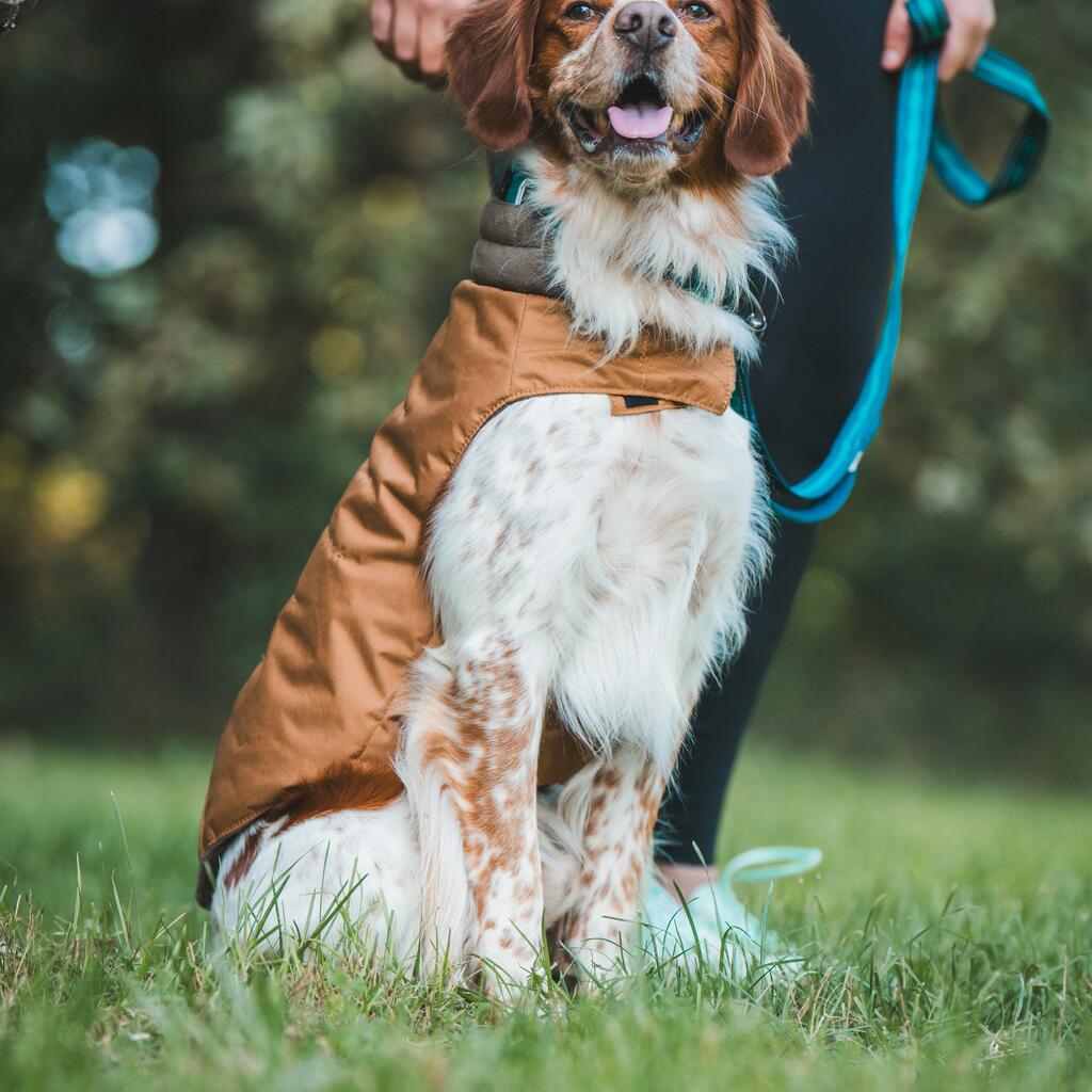 Hundeweste warm Terrakotta 