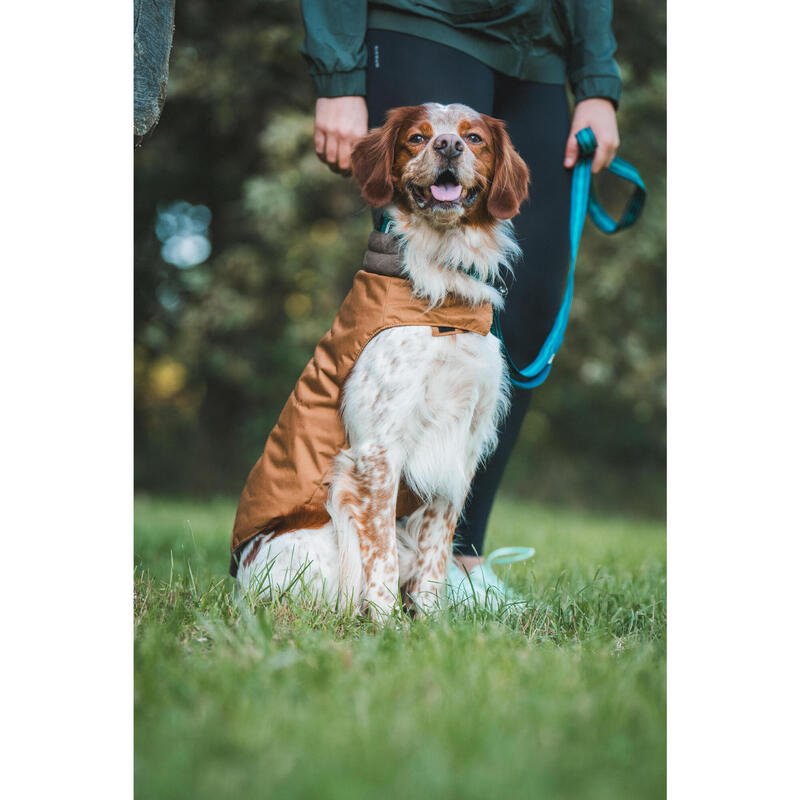 GILET CHAUD POUR CHIEN MARRON