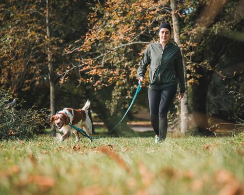 COMMENT BIEN GÉRER LA TRANSITION ALIMENTAIRE DE VOTRE CHIEN ?