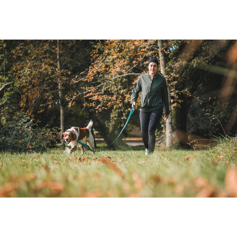 Laisse chien outdoor 500 bleue