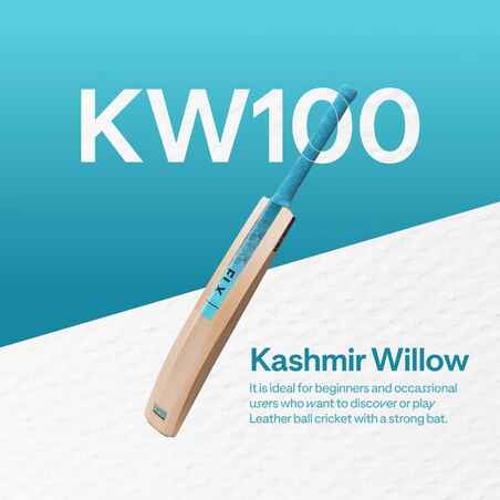 ADULT KASHMIR WILLOW CRICKET BAT KW 100 DRB TURQUOISE