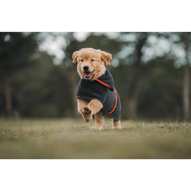PEIGNOIR POUR CHIEN