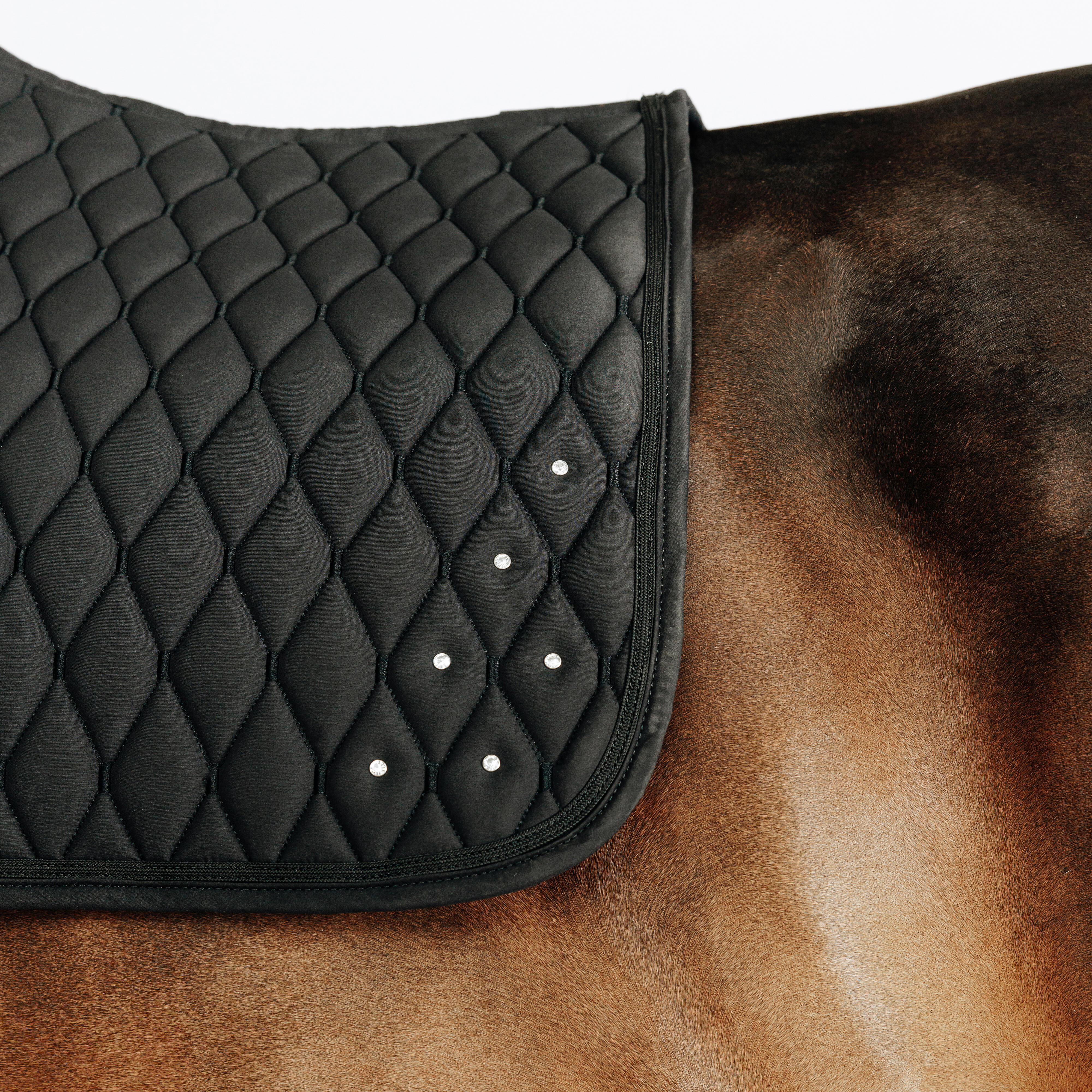 Tapis de selle d’équitation pour cheval et poney, Strass 500 - FOUGANZA