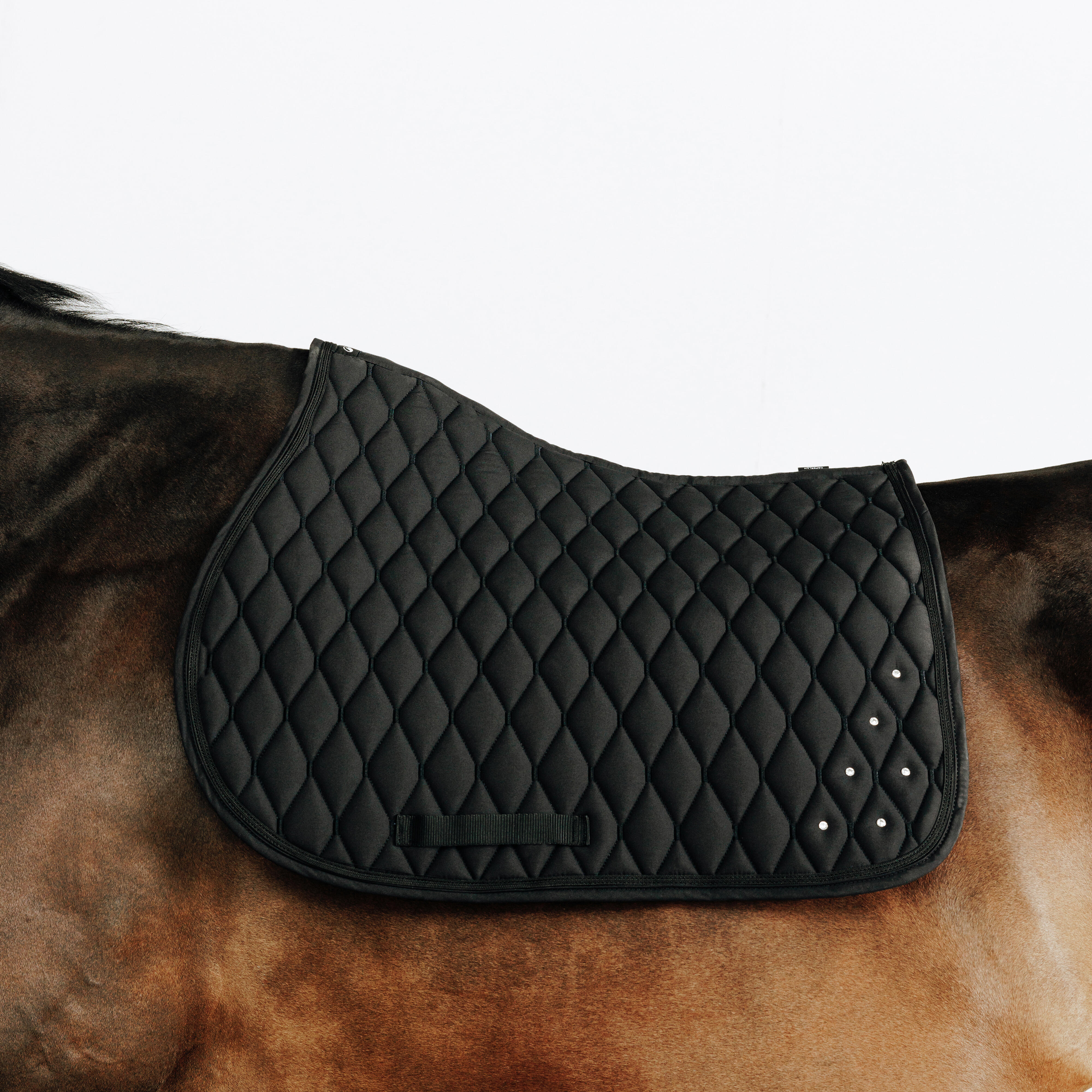 FOUGANZA Schabracke 500 Strass Pferd/Pony schwarz | 03608392177866 FOUGANZA Schabracke 500 Strass Pferd/Pony schwarz | 03608392177866