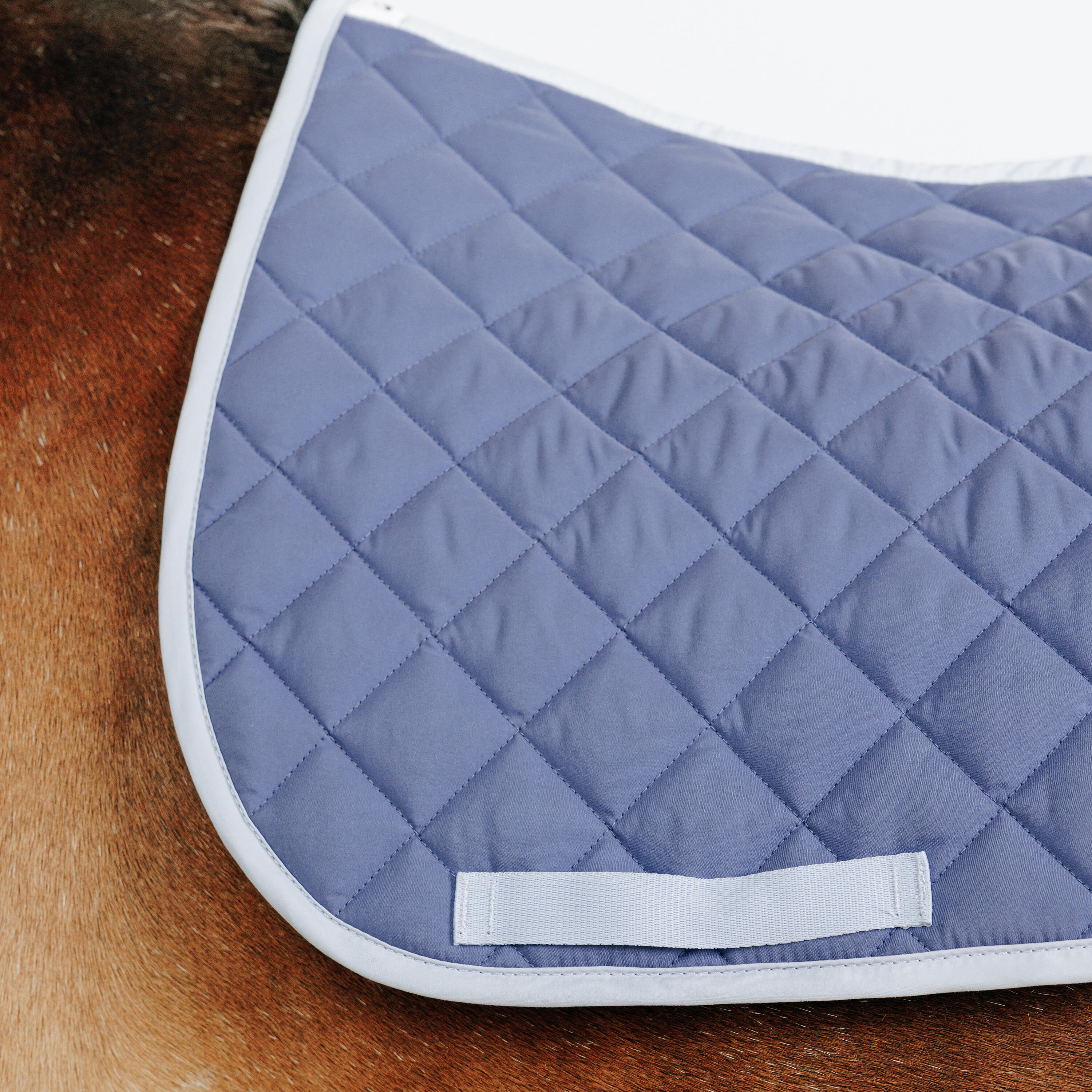 Sottosella equitazione pony 100 COMETE blu 2/3
