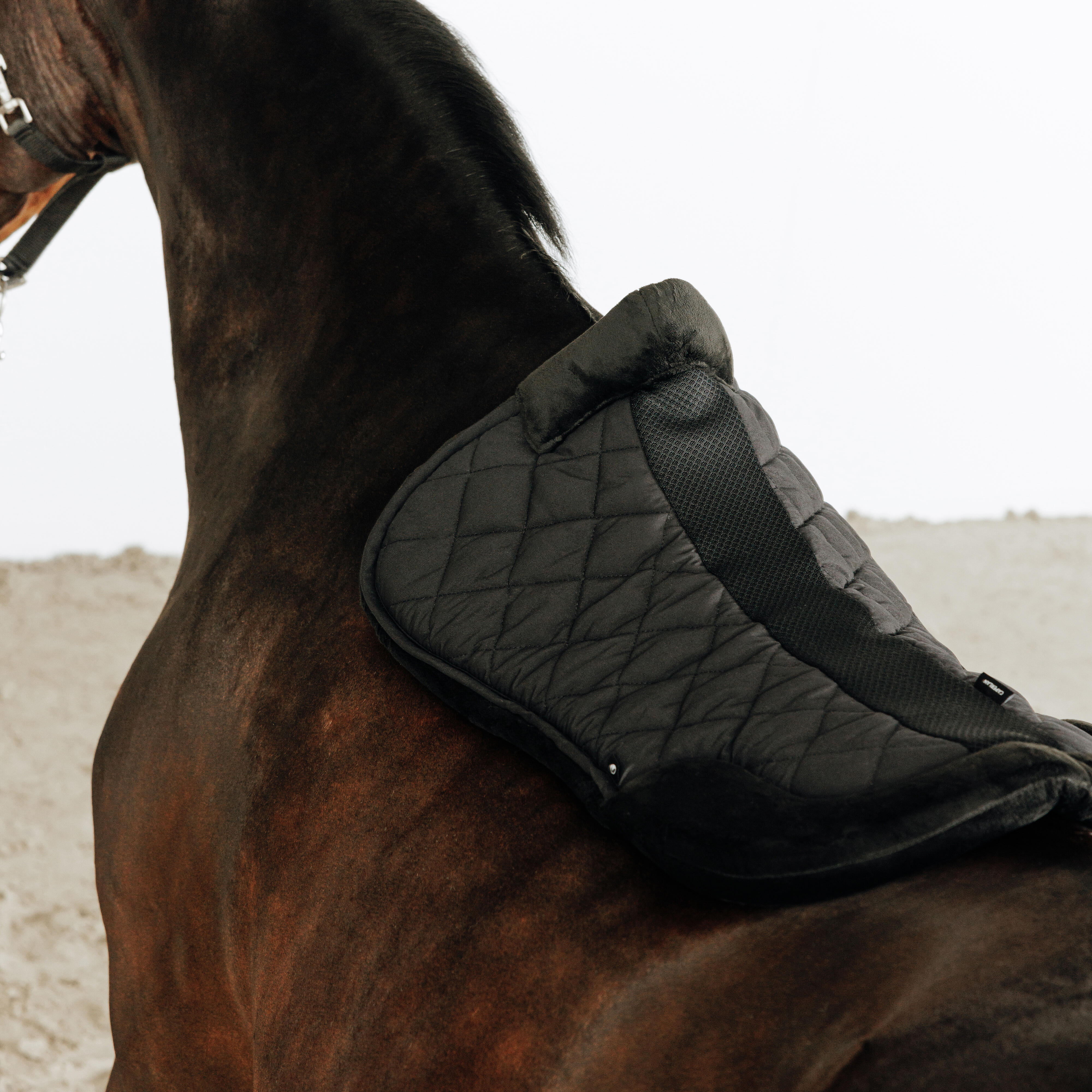 Amortisseur d'équitation pour cheval & poney en mouton synthétique - 500 noir - FOUGANZA