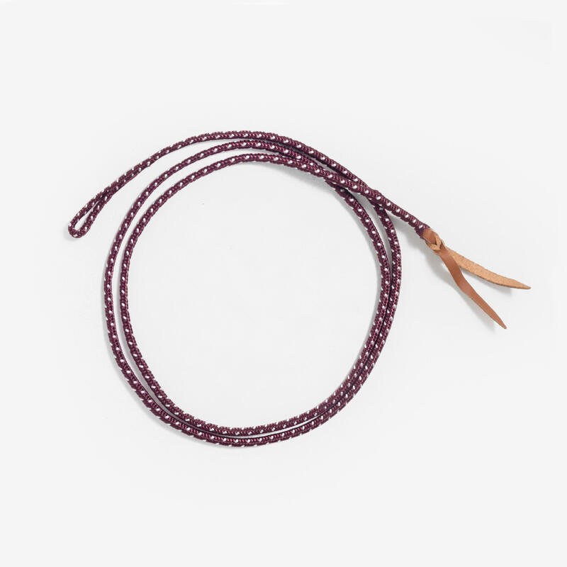 Stick éthologique équitation drapeau et cordelette
