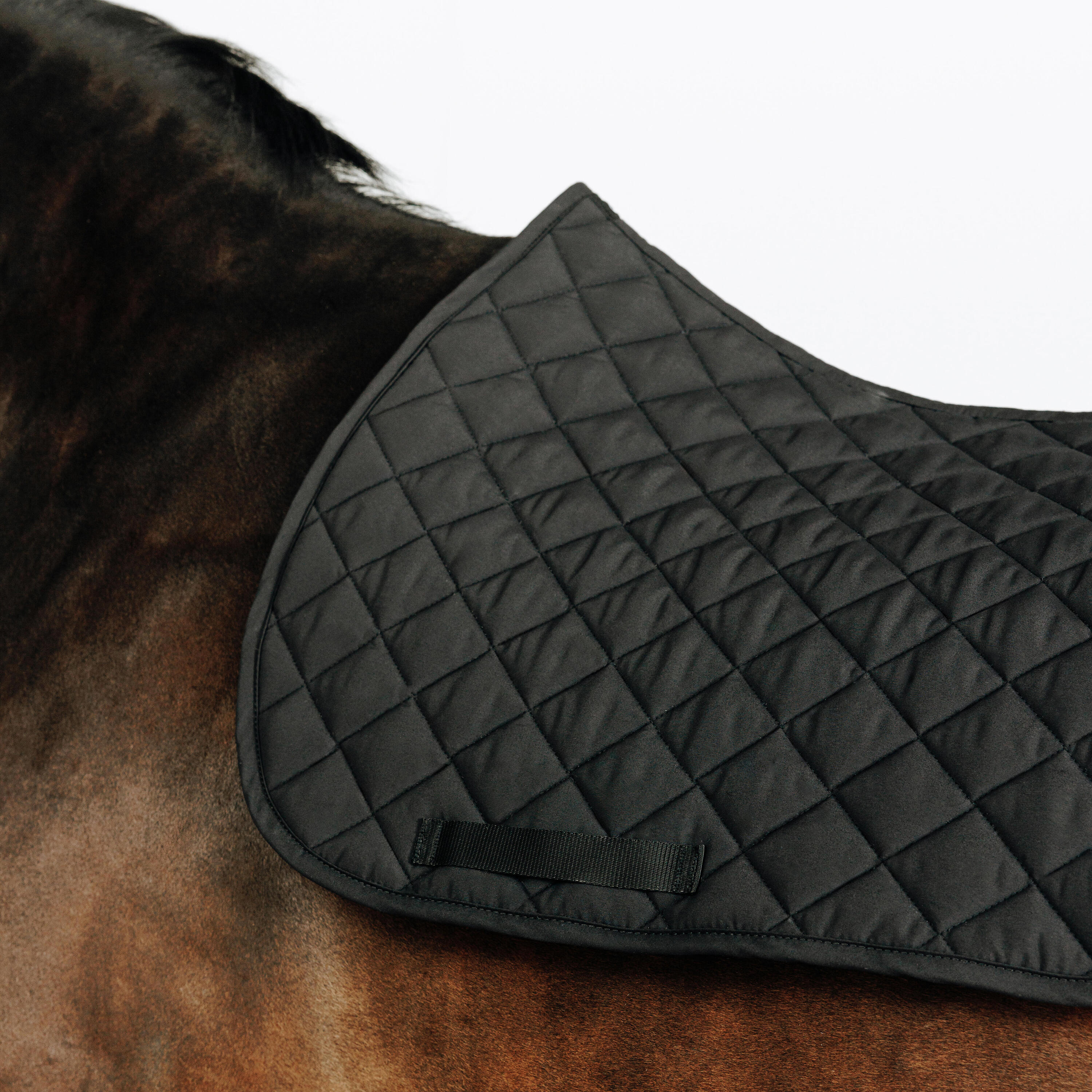 Horse Saddle Cloth 100 - Black 2/3