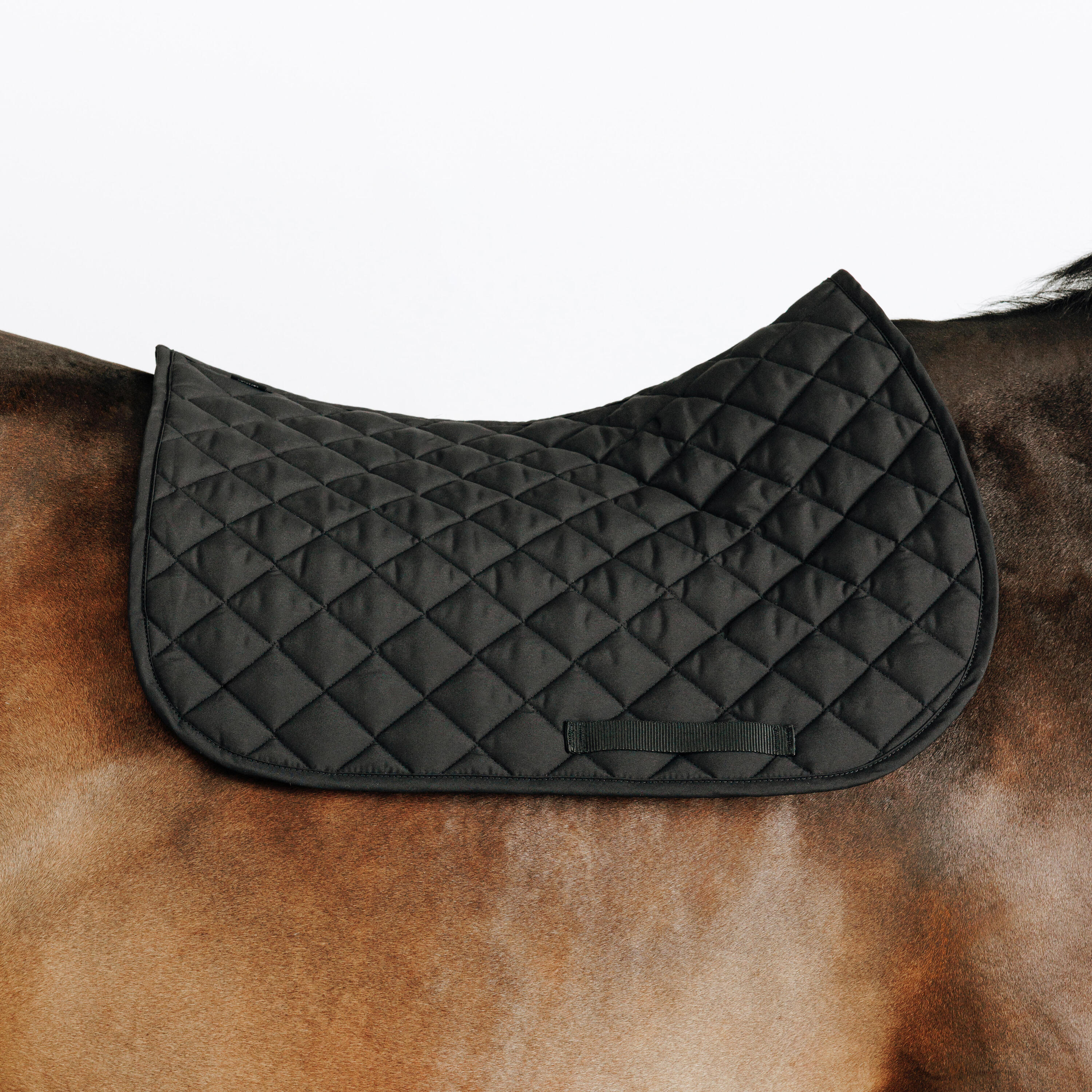 Horse Saddle Cloth 100 - Black 3/3