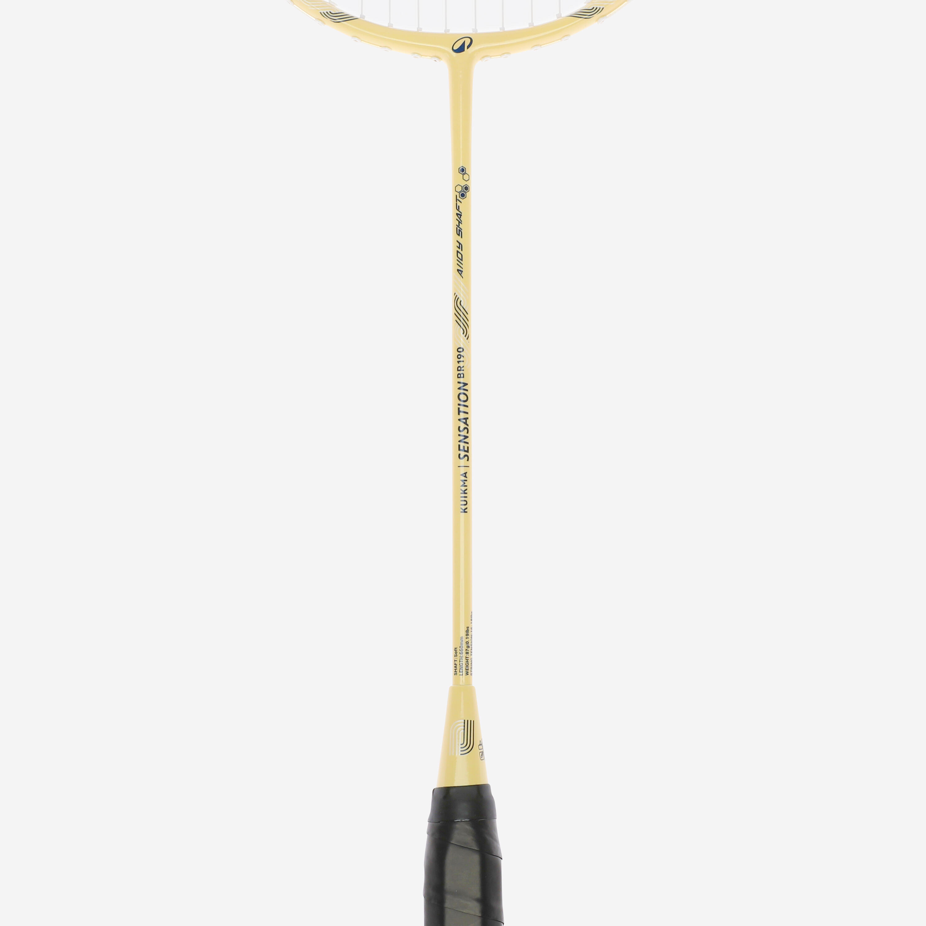 ADULT BADMINTON RACKET BR 190 SET PARTNER GREEN BEIGE