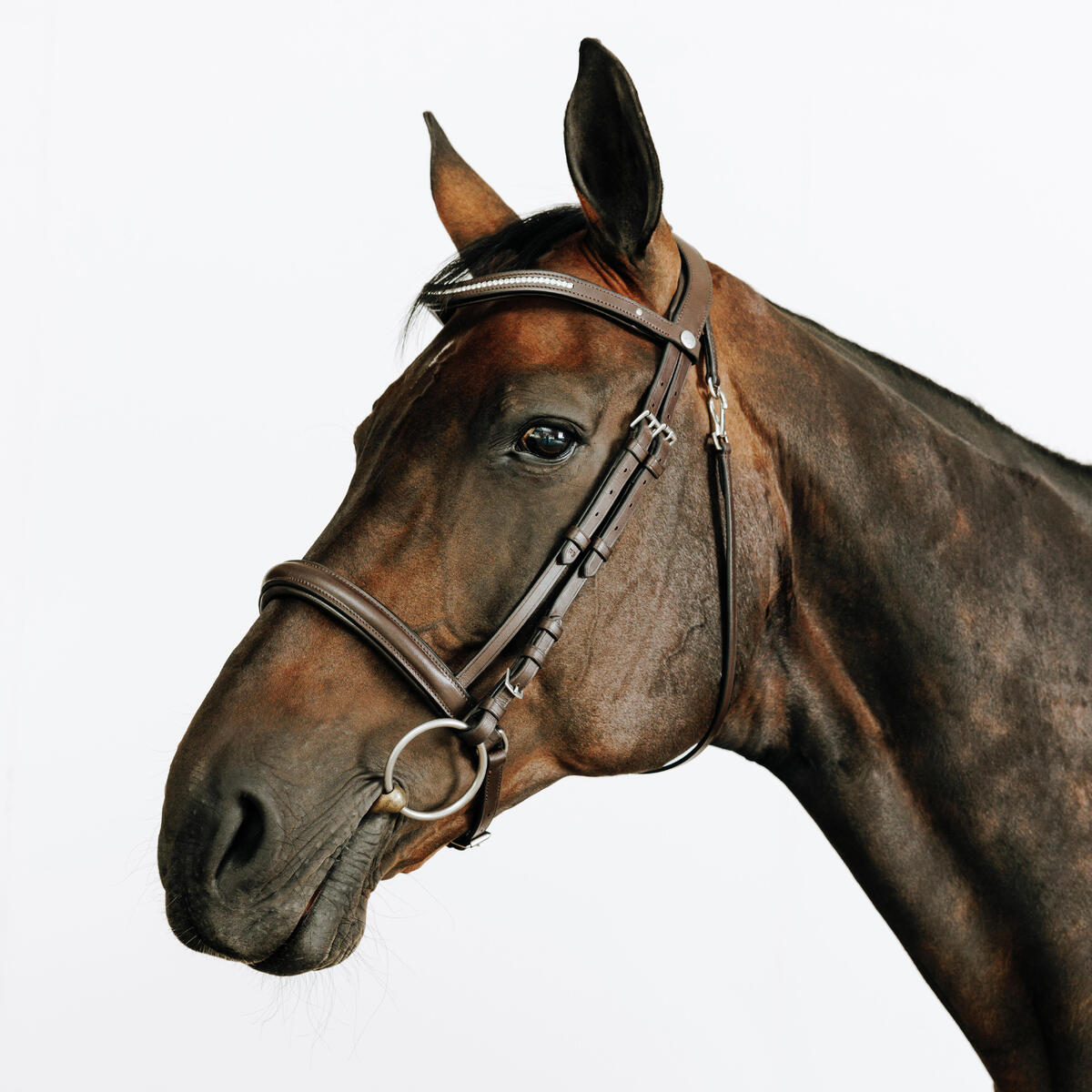 Filet équitation cuir muserolle française strass cheval et poney - 580 marron