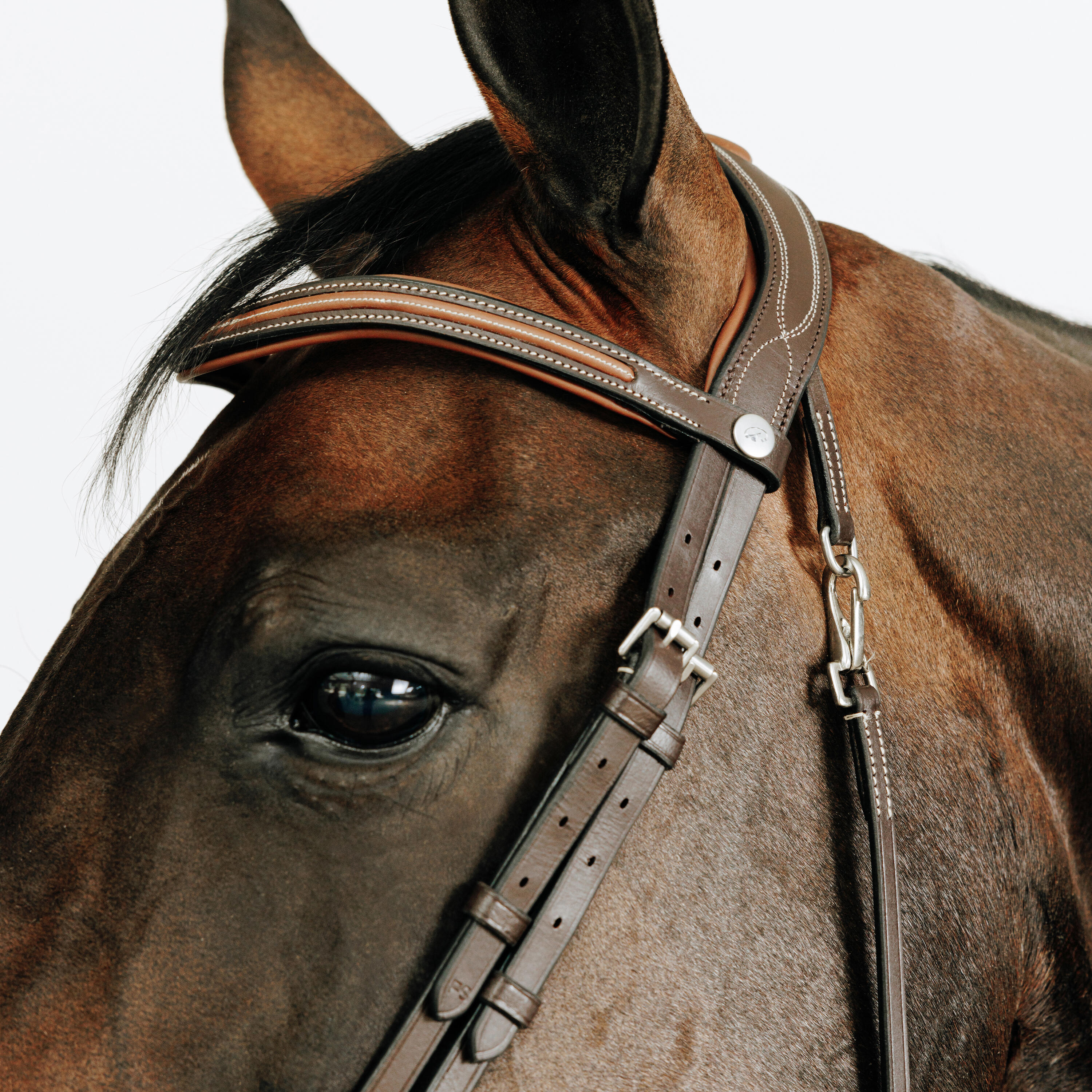 Trense 580 Ziernähte Pferd/Pony braun 4/5