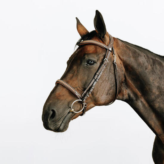 Filet équitation cuir muserolle française surpiqué cheval et poney - 580 marron