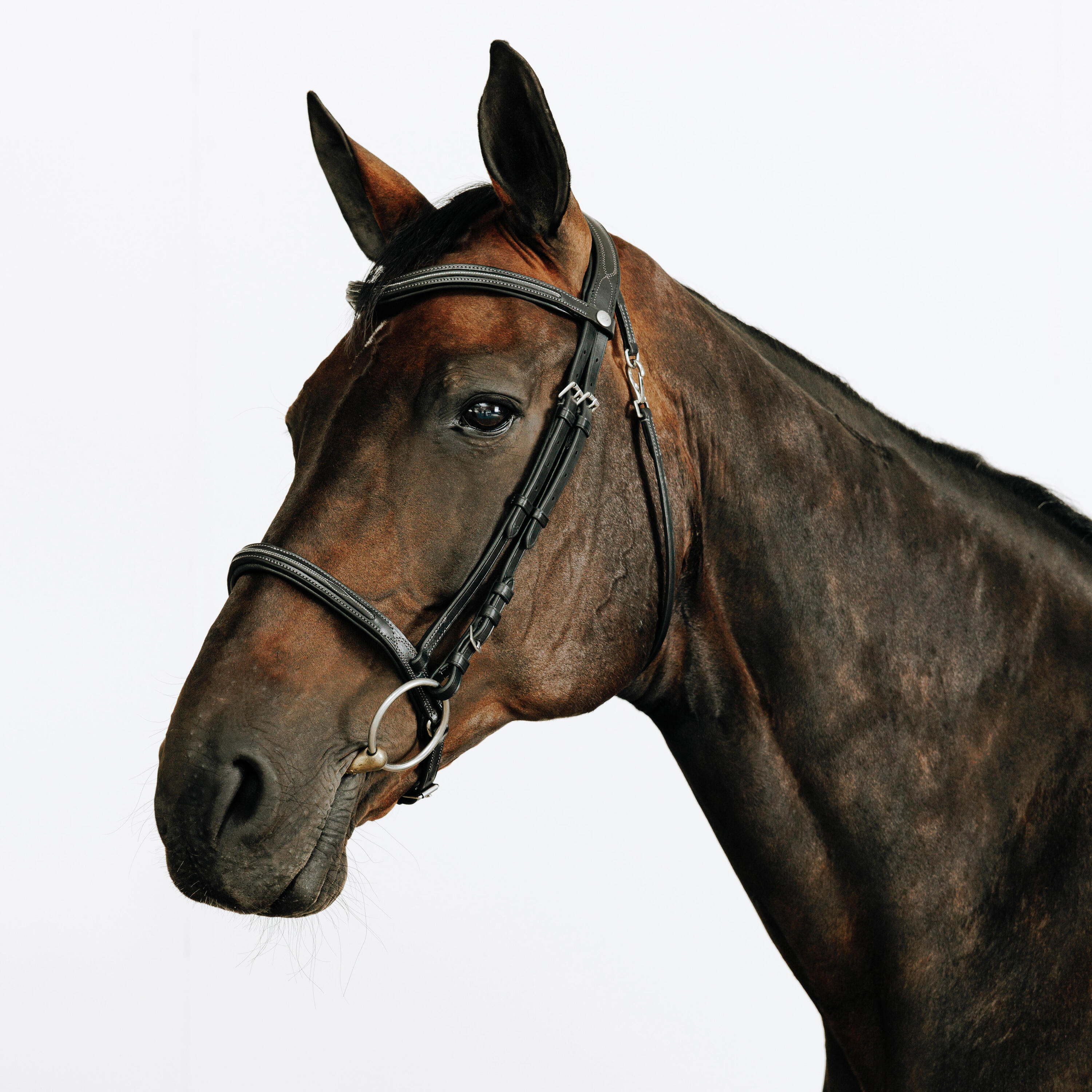 FOUGANZA Trense 580 Ziernähte Leder Pferd/Pony schwarz