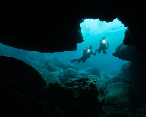 conseil astuces lutter contre le froid plongée sous marine subea