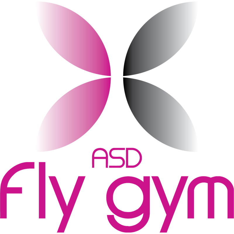 fly gym