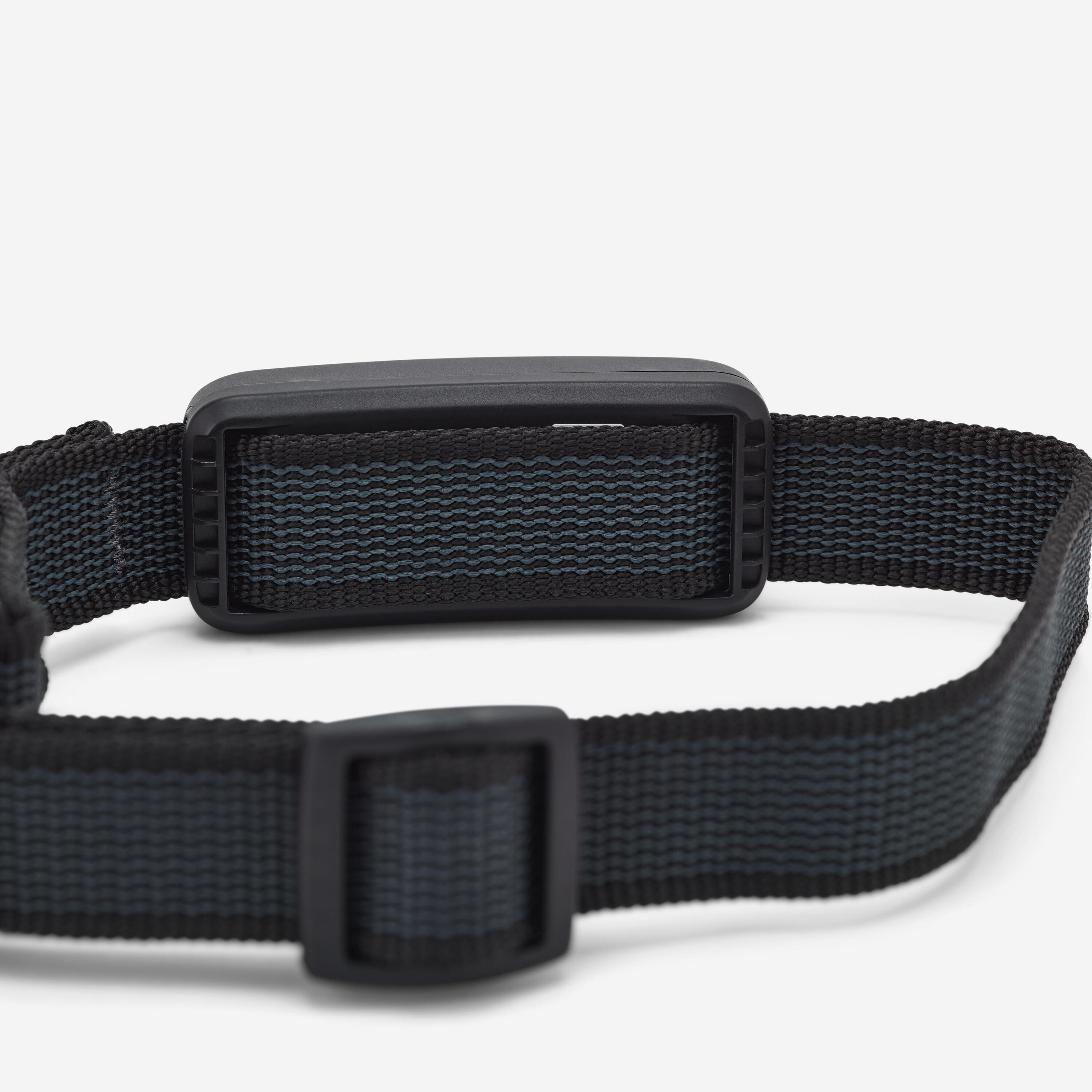 Hondenhalsband met gps XT 4/10