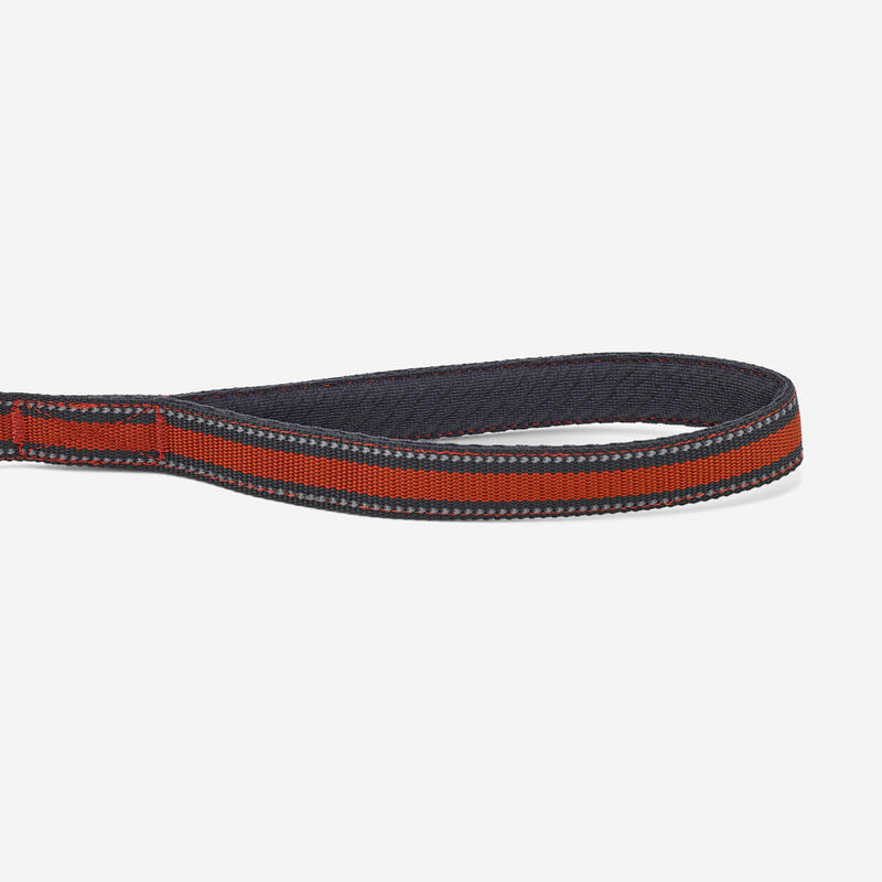 Laisse pour chien 500 terracotta