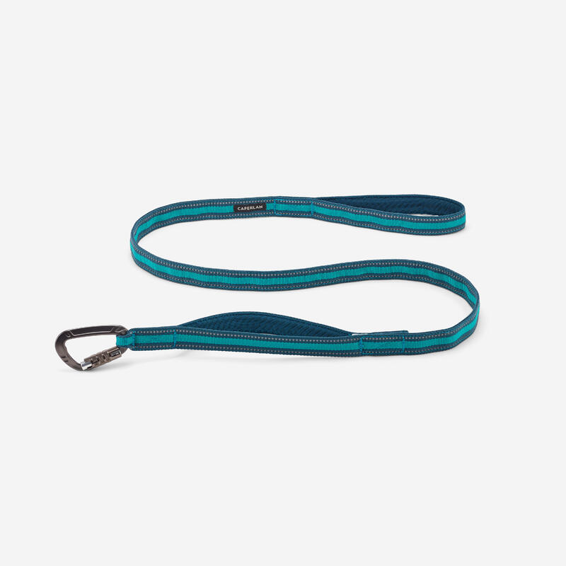 Laisse chien outdoor 500 bleue