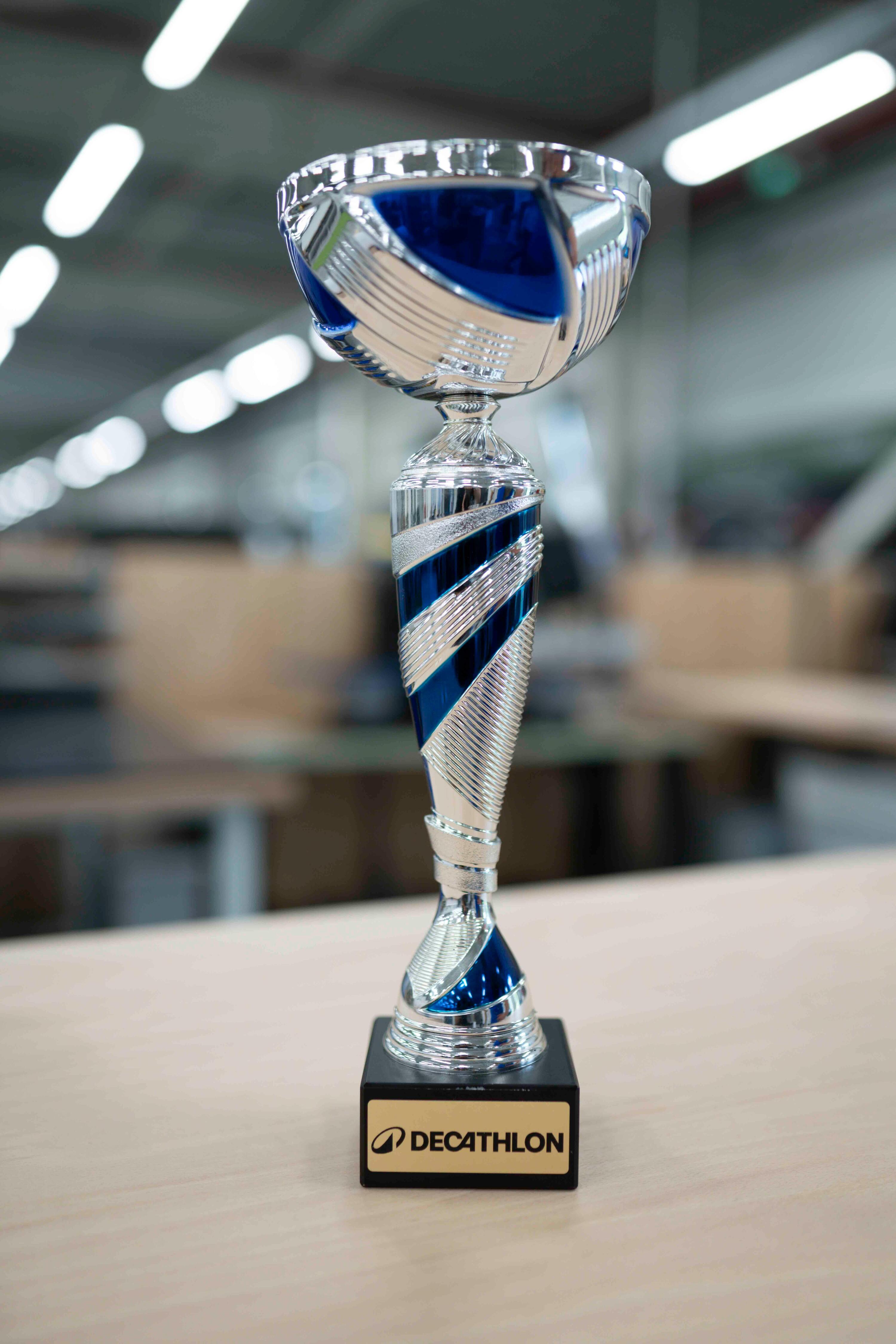 WORKSHOP Sticker Pokal/Medaille