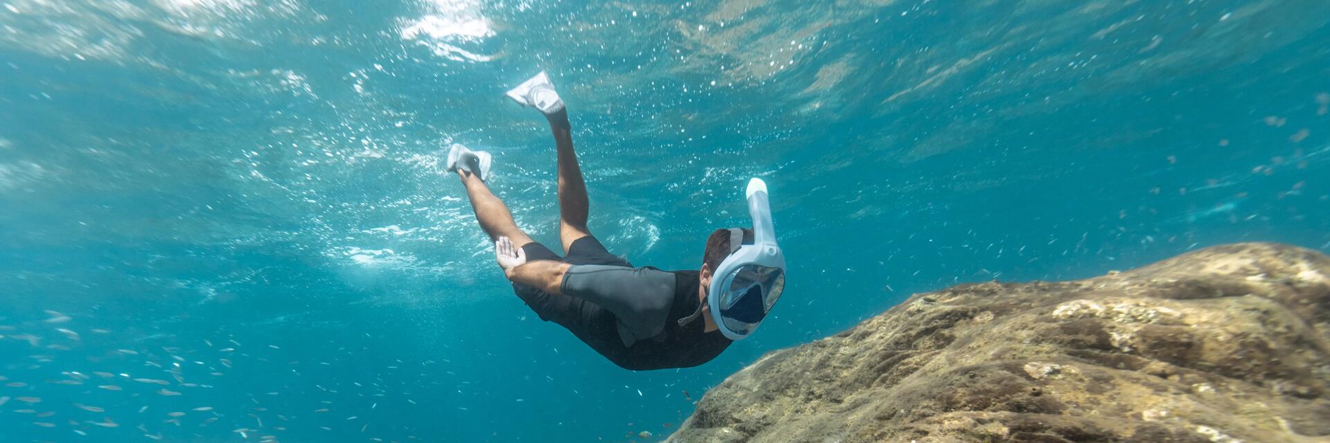 Snorkeling avec la PADI et Decathlon