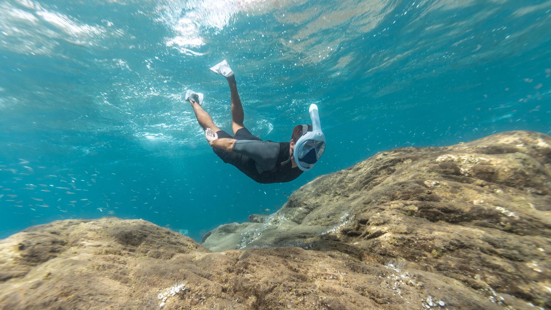 Mężczyzna w płewtwach i w masce do snorkeling nurkujący pod wodą