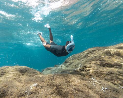 Snorkeling avec la PADI et Decathlon